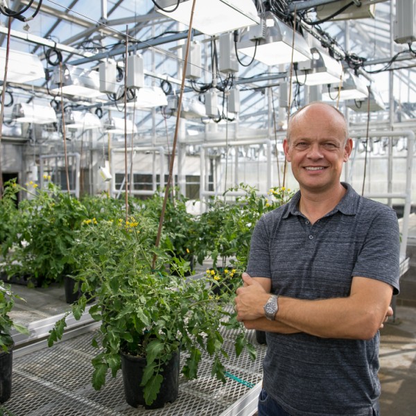 a bald man stands in a greenhouse
