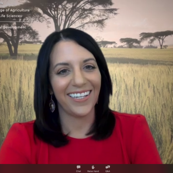 Professor in front of virtual image of a wheat field
