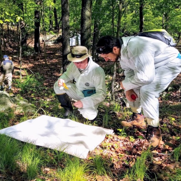 Men bending down in a forest looking at a white piece of material