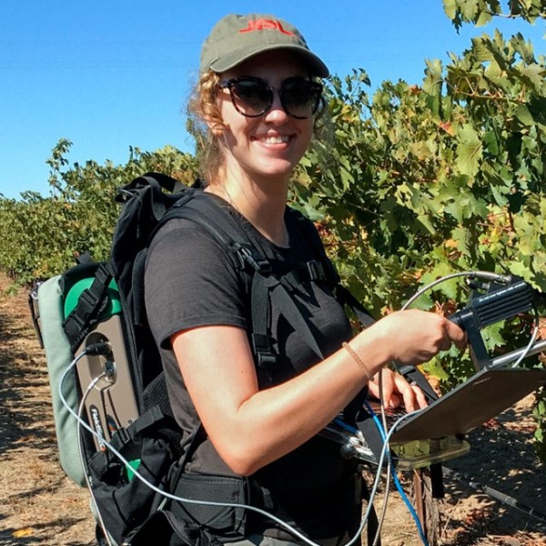 A woman standing in a grape vineyard