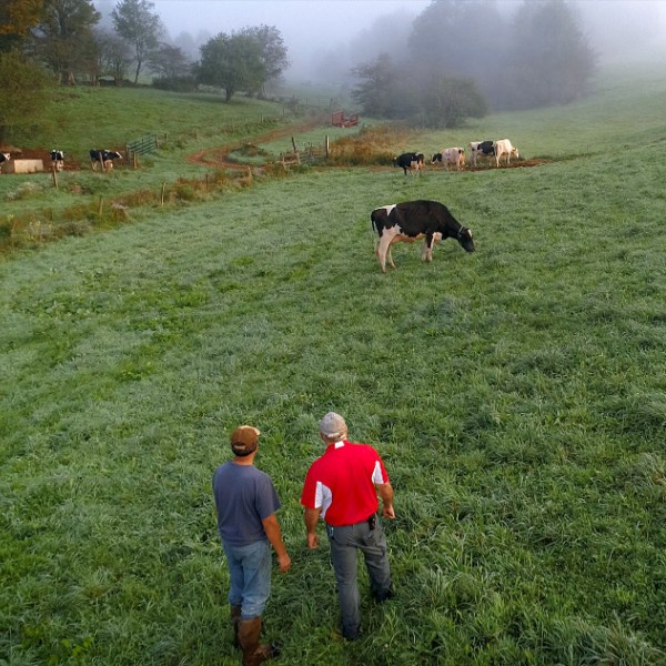 Two men standing in a field looking at a cow