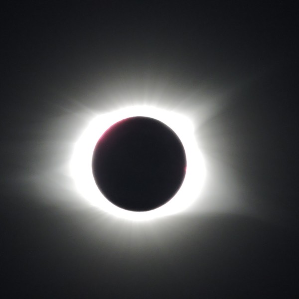 Solar eclipse_sawako suzuki