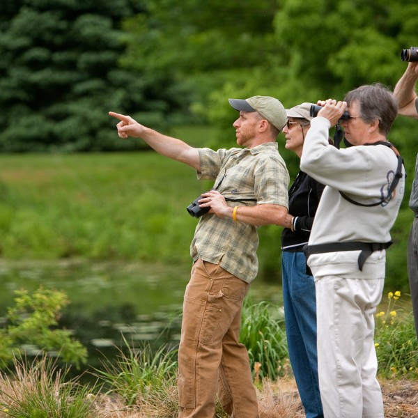 Four people with binoculars look at a bird in the distance