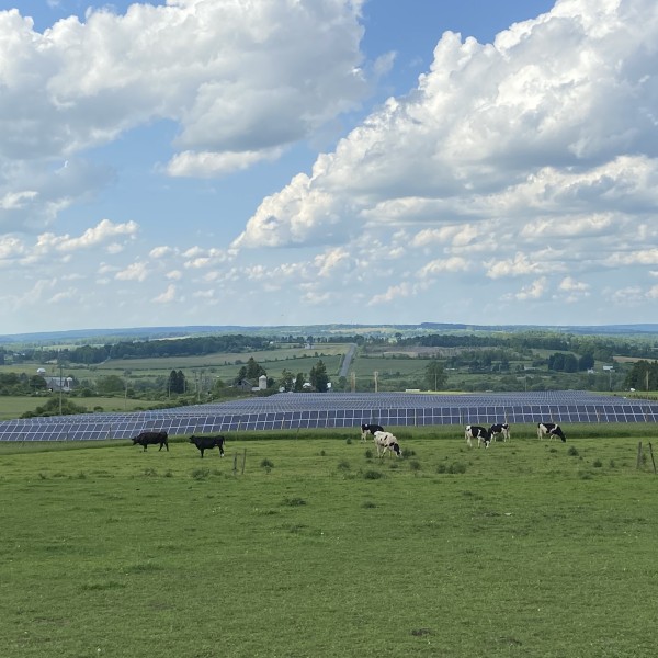 Dryden solar farm