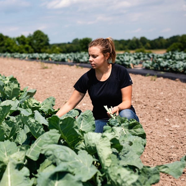 A woman working in a field