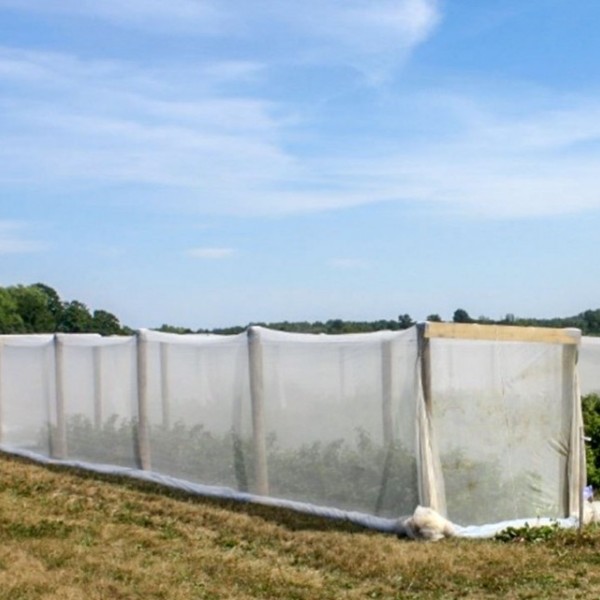 Netting on berry bushes outside 