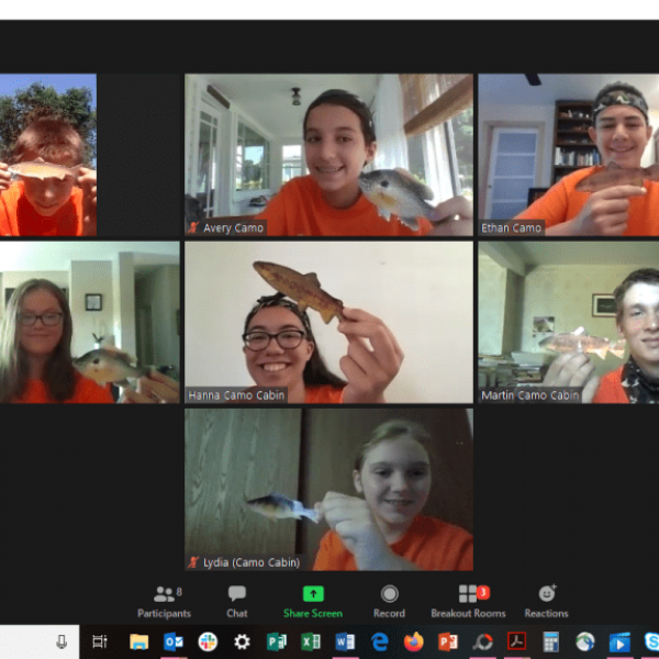 Screen grab of campers on zoom