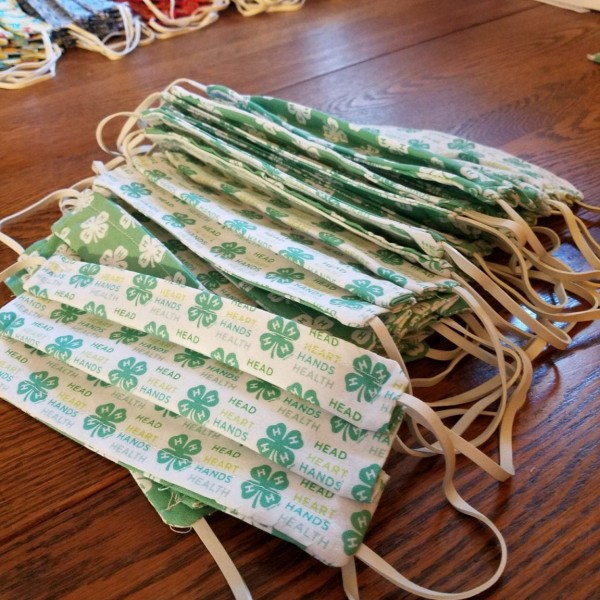 4-H cloth face coverings