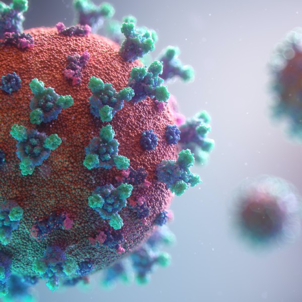 an artist's illustration of the coronavirus