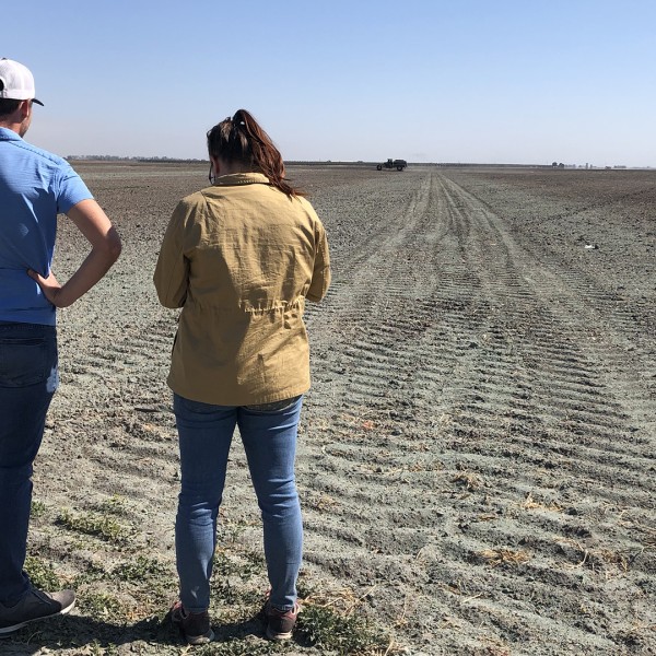 a man and a woman stand in a farm field looking at a tractor in the distance