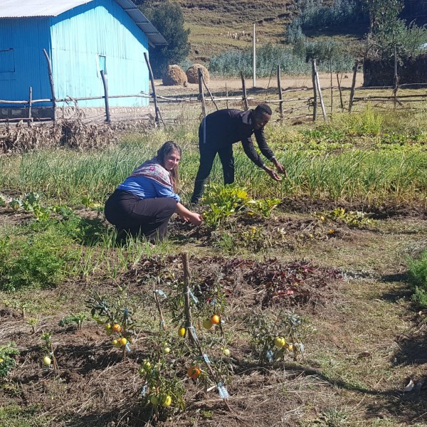 Woman works in field