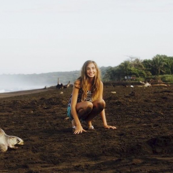 A girl on the beach crouching between two large sea turtles 
