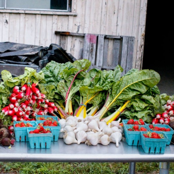 A pile of vegetables on a table 