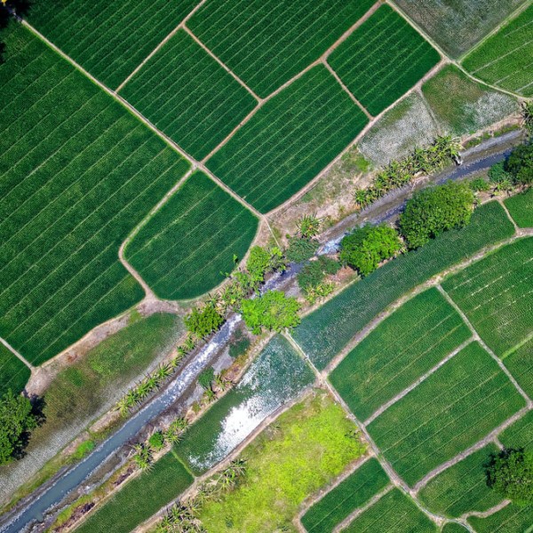 Looking down on fields and a stream