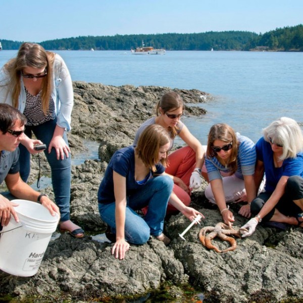 Five students and one teacher sitting on a rock next to the ocean and looking at a starfish