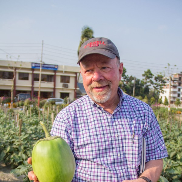 Man holds eggplant in a field