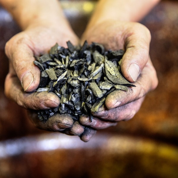 Hands hold a pile of biochar