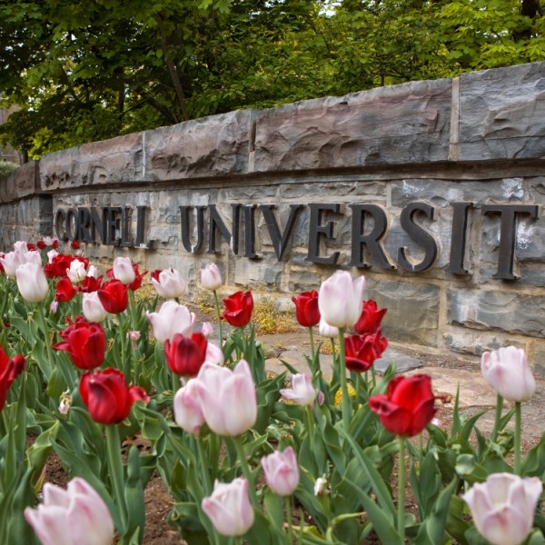Spring flowers at the College Avenue entrance sign to the Cornell campus.