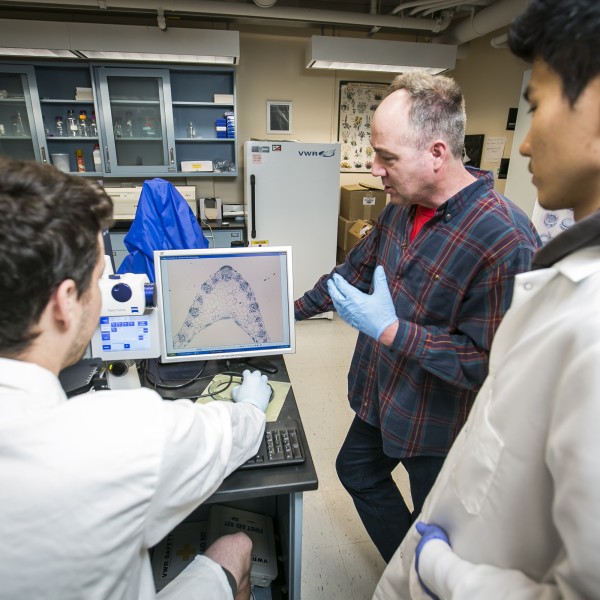 three male researchers look at maize genes on a computer screen