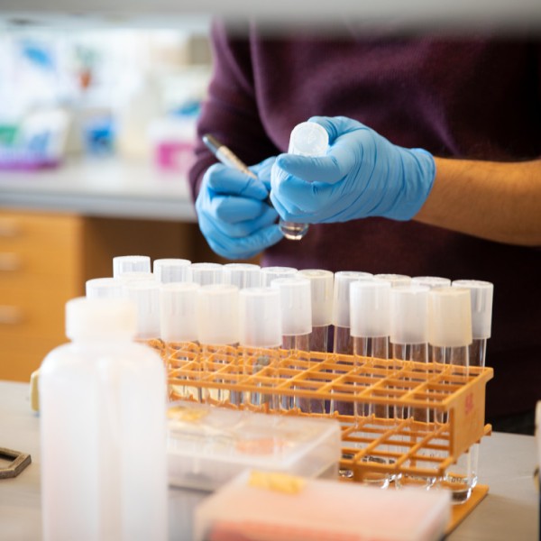 Two hands wearing blue gloves conducting research at a lab bench with tubes