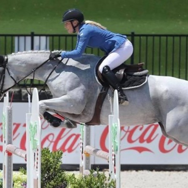 a female equestrian jumps a white horse over a race fence