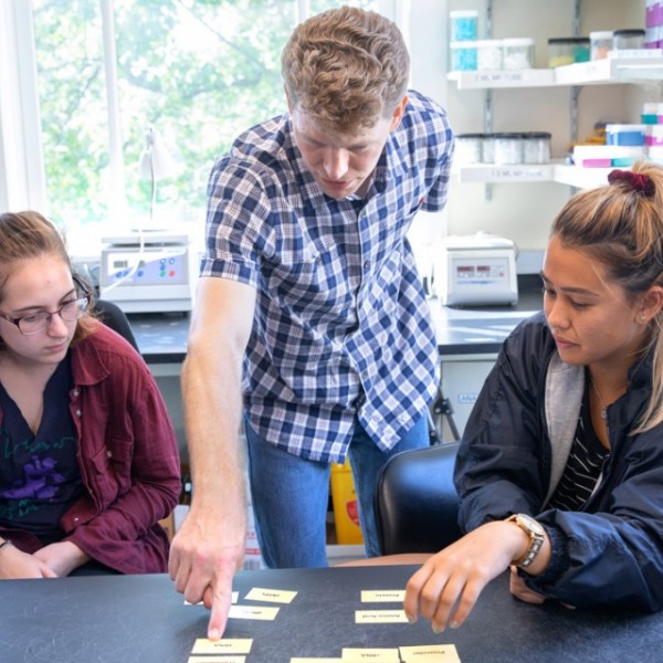 three people looking at objects on a table