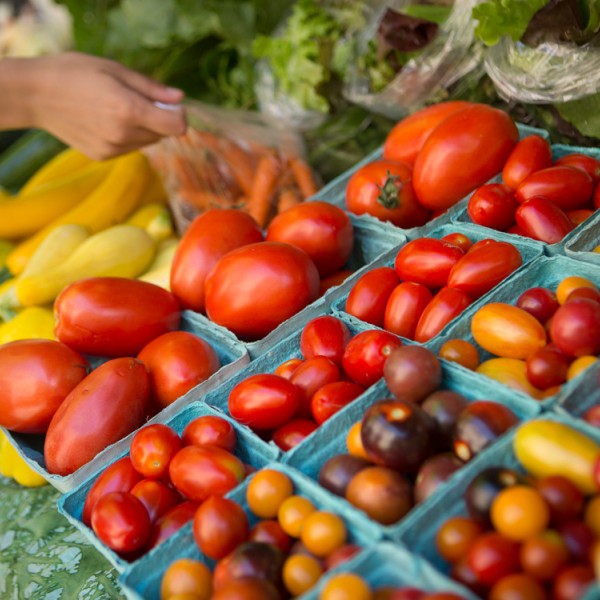 tomatoes, squash, carrots and zucchini in rows