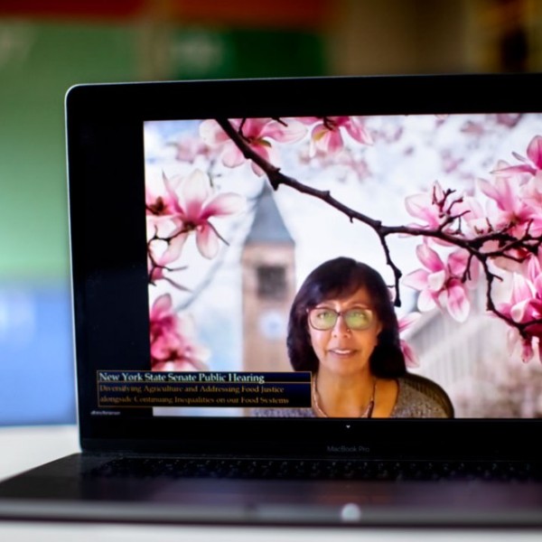 Anu Rangarajan speaking during a webinat