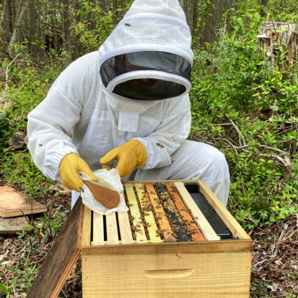 A person crouching over a bee hive and applying a pollen patty