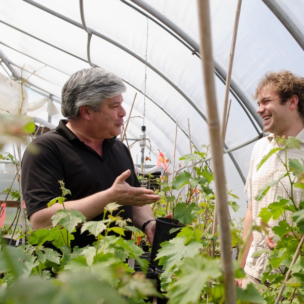 two people talking in a greenhouse