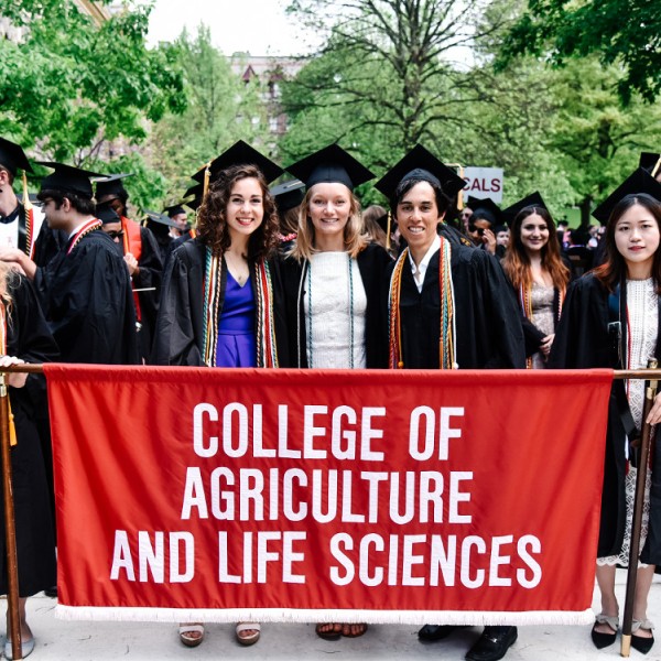 Several graduates standing behind the CALS banner 