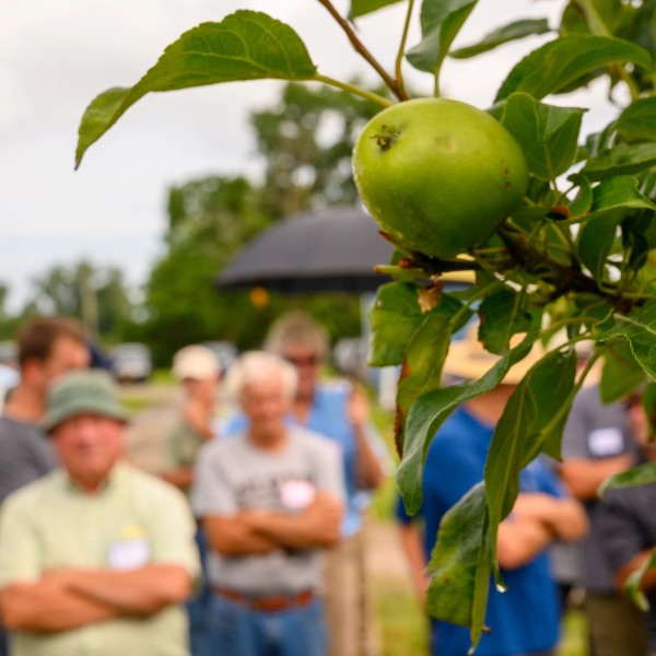 workshop participants in an apple orchard