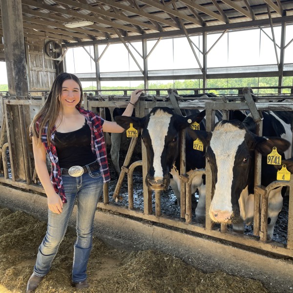 A person standing in a barn next to dairy cows