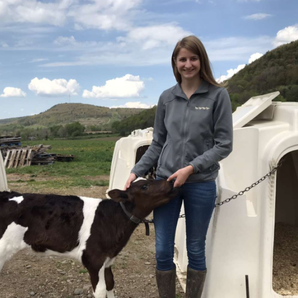 A person standing next to a baby cow outside