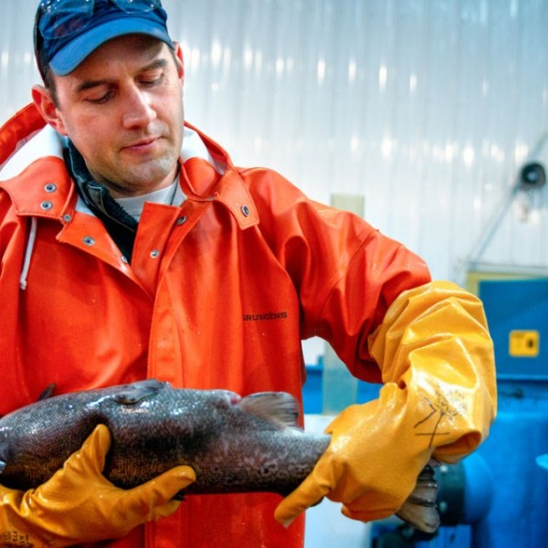 Man holds a fresh salmon.