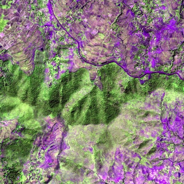 A false color satellite image.