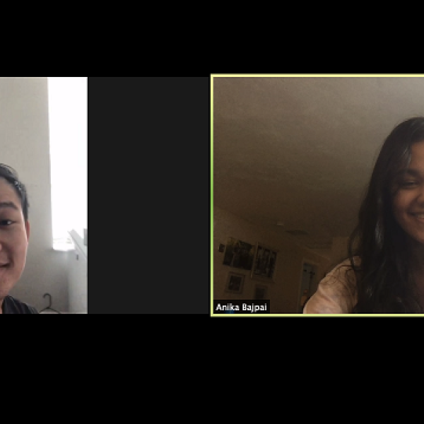 screenshot of zoom meeting