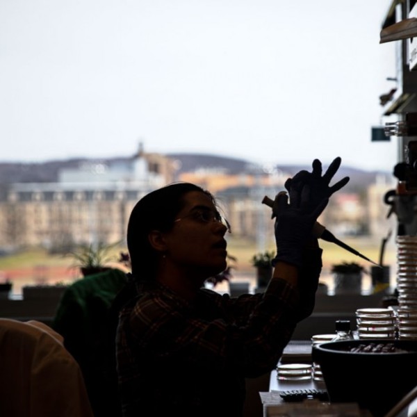 A student working in a lab