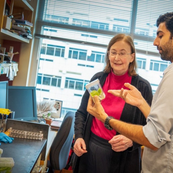 Maureen Hanson and a student in a lab.