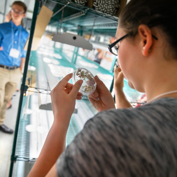 A young students looks at a petri dish in a lab