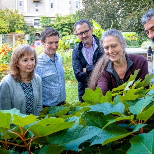 Scientists look at plants.