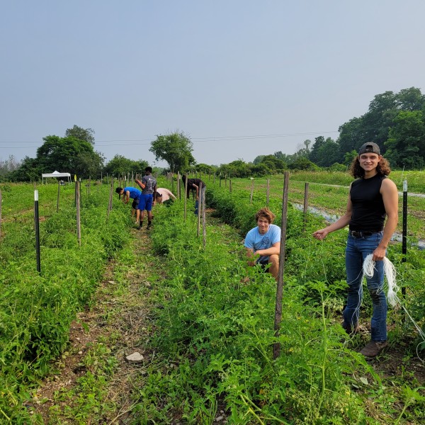 Jeremiah Lazo and fellow interns working in an agriculture field