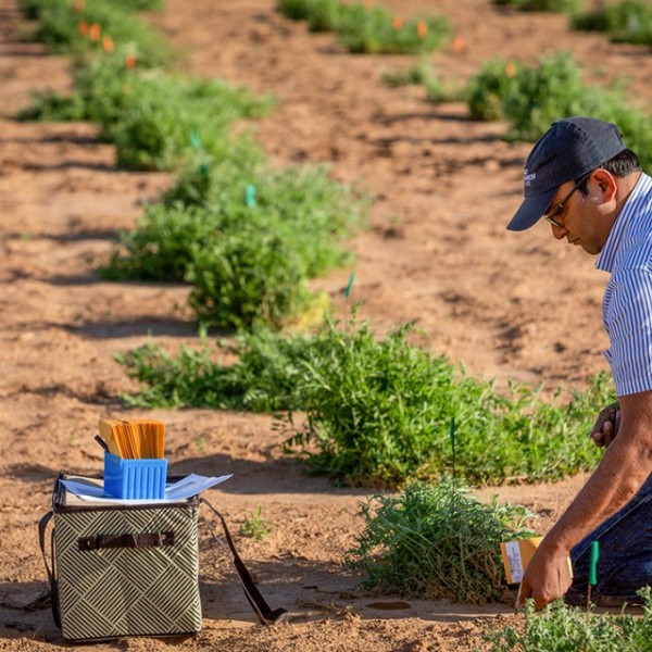 A man collects data in a research field.