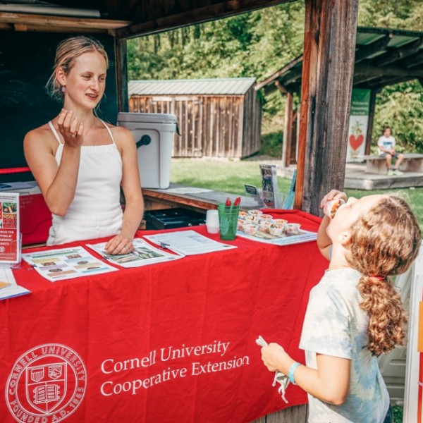  Ainsley Fleming-Wood offers food to a child at a farmers market booth for Cornell Cooperative Extension