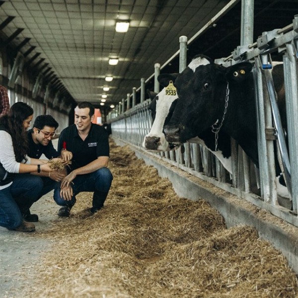 Joseph McFadden working in a dairy barn with students 