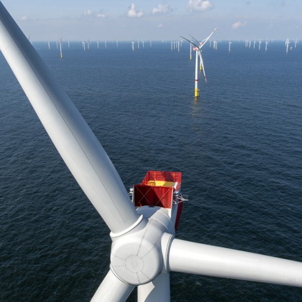 An offshore wind farm