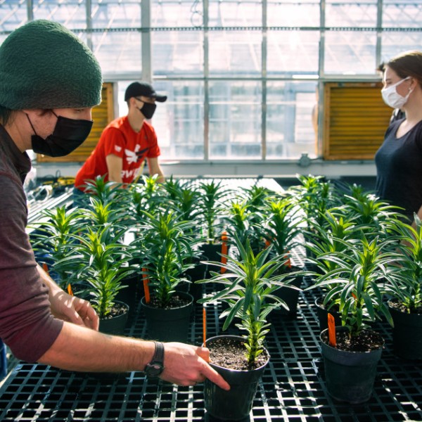 Students in William Miller’s horticulture class document the growth of plants in the Kenneth Post Greenhouse