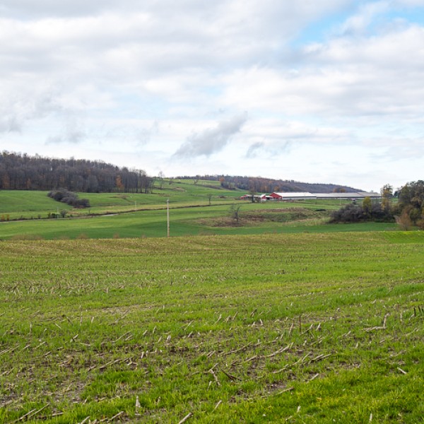 Dairy farm in upstate NY