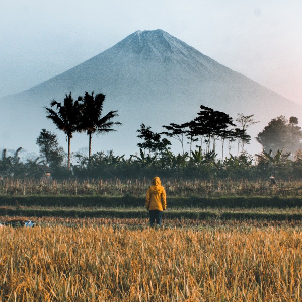 person standing on green grass field
