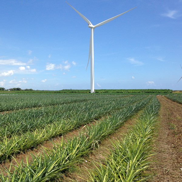 A farm field with a wind turbine in the background
